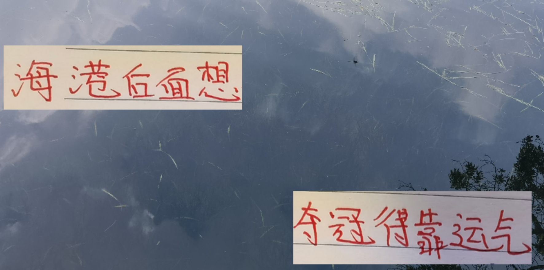 开云体育下载-从ICU到KTV的感觉 海港输球反胜第3名 后面能否夺冠就看运气了